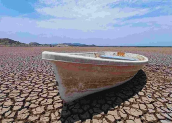 Expertos UNAM: ‘Calentamiento global, problema sin cruce entre política y ciencia’