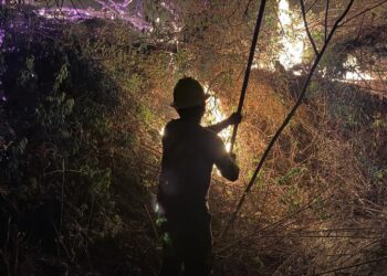 Se quedan sin clases en Acapulco y Chilpancingo por incendios