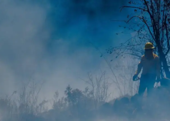 Llama Inai a Profepa a informar sobre incendios en basureros y rellenos sanitarios