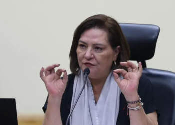 INE y OEA pactan la observancia de las elecciones