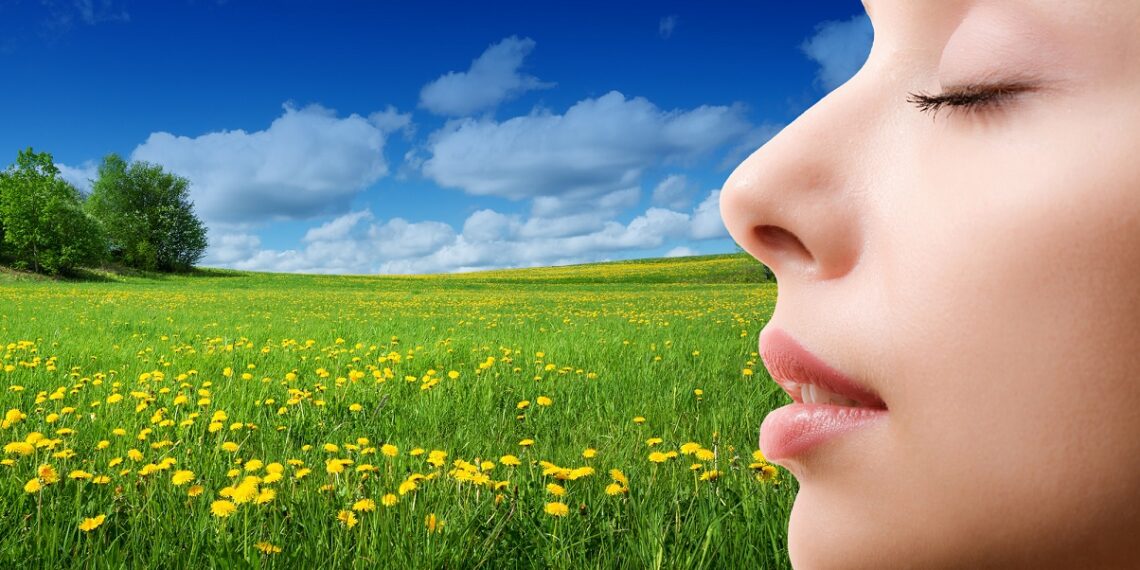 ¿Tienes alergia o sinusitis?