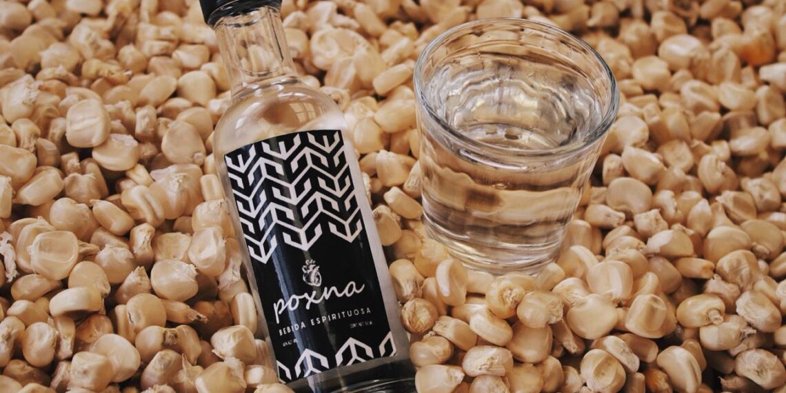 Ya conoces el POSH: ¡El destilado de Chiapas que encanta a los sentidos!