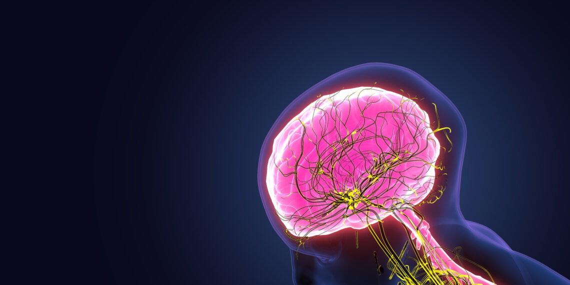 Un camino de innovación para resolver enfermedades del sistema nervioso central