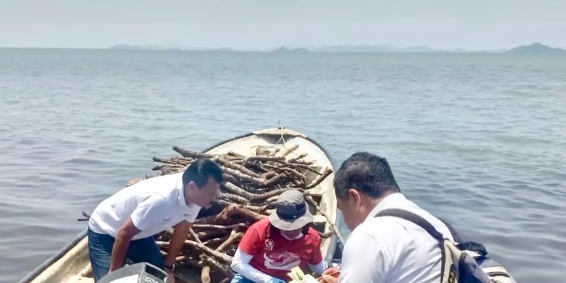 China apura a México para investigar caso de naufragio de 8 migrantes chinos