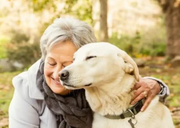 ¿Cómo reforzar el sentido de vida de los adultos mayores? Aquí te lo decimos