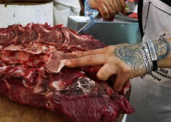 Rechaza Sader ingreso de mil 463 embarques de alimentos por detectar 258 plagas