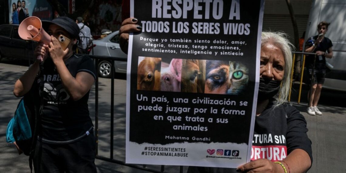 Ordenan sancionar a senador de Morena por sacrificar gallina en ritual