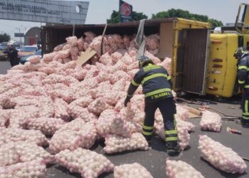 Vuelca camión con 22 toneladas de cebollas en la Central de Abasto