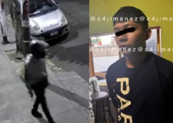 Declara sujeto que disparó contra Alessandra Rojo en CDMX: Le pagaron 60 mil pesos