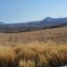 En Sierra Costa michoacana urgen a iniciar ya la etapa de reforestación; sin ella no habrá agua de lluvia que se filtre en el suelo