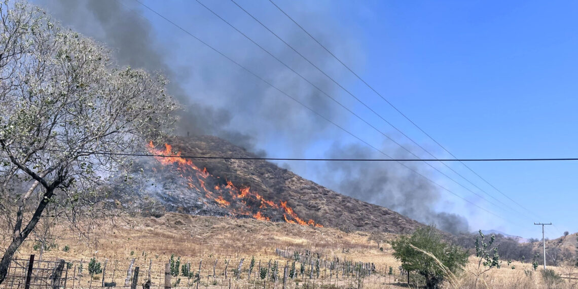 Está deforestado el 70% de la zona Sierra Costa de Michoacán; este año se han perdido 9 mil hectáreas por incendios en Coalcomán