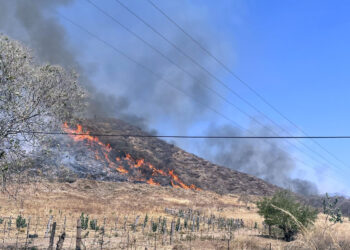 Está deforestado el 70% de la zona Sierra Costa de Michoacán; este año se han perdido 9 mil hectáreas por incendios en Coalcomán