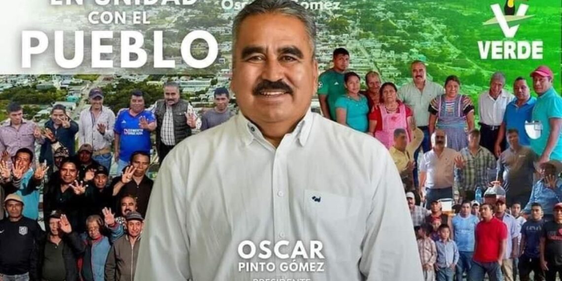 Óscar Pinto renuncia a candidatura del PVEM para la alcaldía de Altamirano