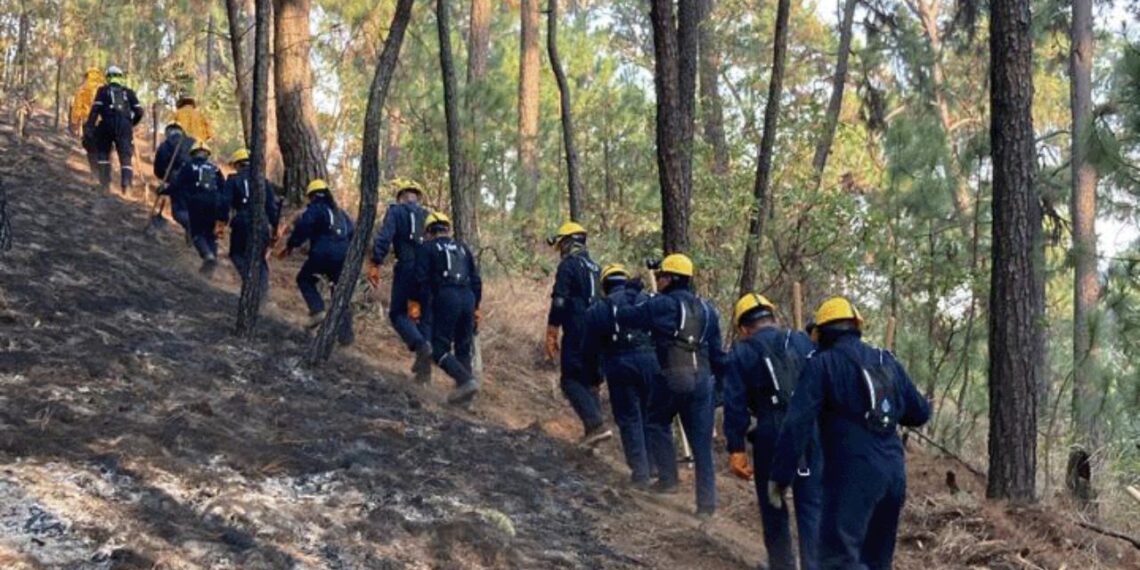 Activan Plan Marina por incendios forestales en Valle de Bravo