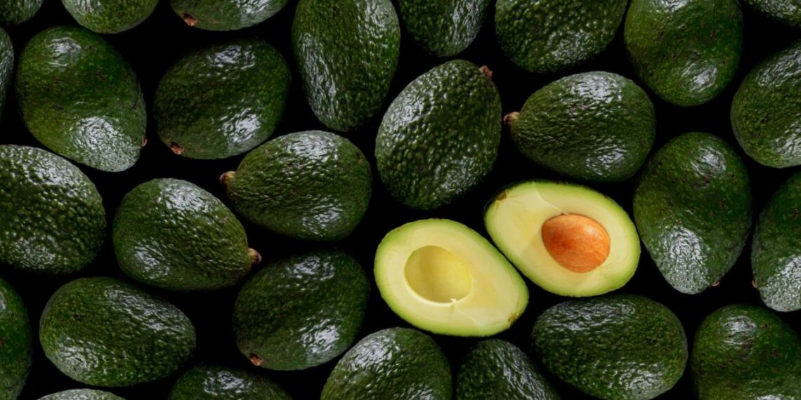 FGR indaga robos de 40 toneladas de aguacate en Michoacán