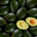 FGR indaga robos de 40 toneladas de aguacate en Michoacán