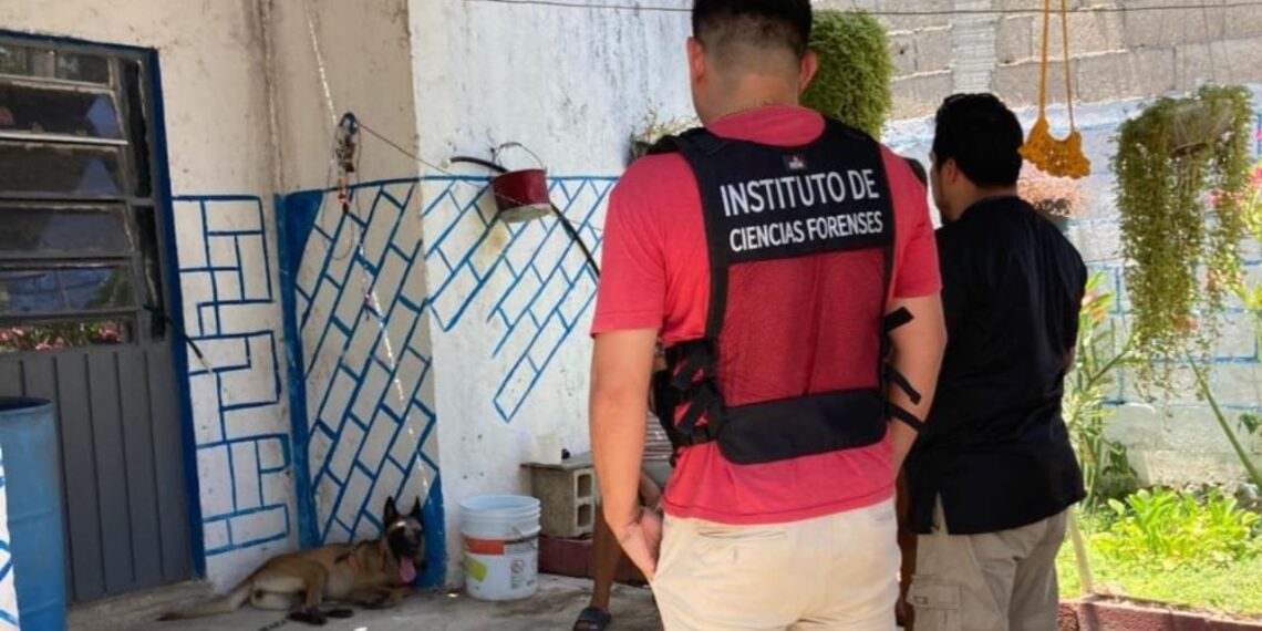 Arrojan agua hirviendo a perrita Lia, en Motul, Yucatán