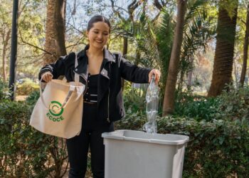 Día Mundial del Reciclaje: la industria tiene un plan