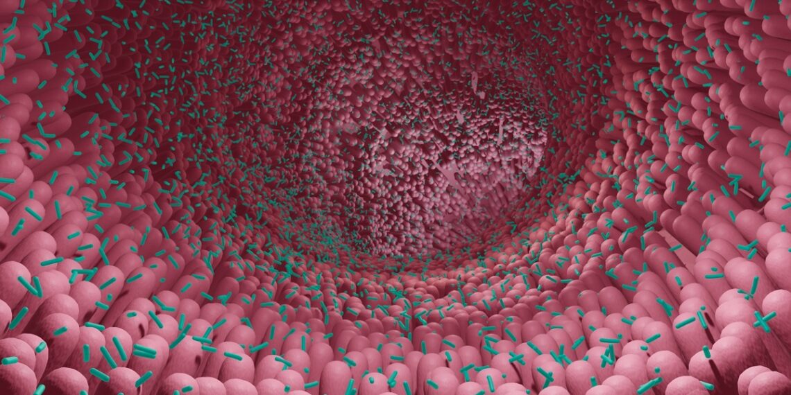 Trasplante de microbiota fecal puede proporcionar inmunidad protectora contra el cáncer