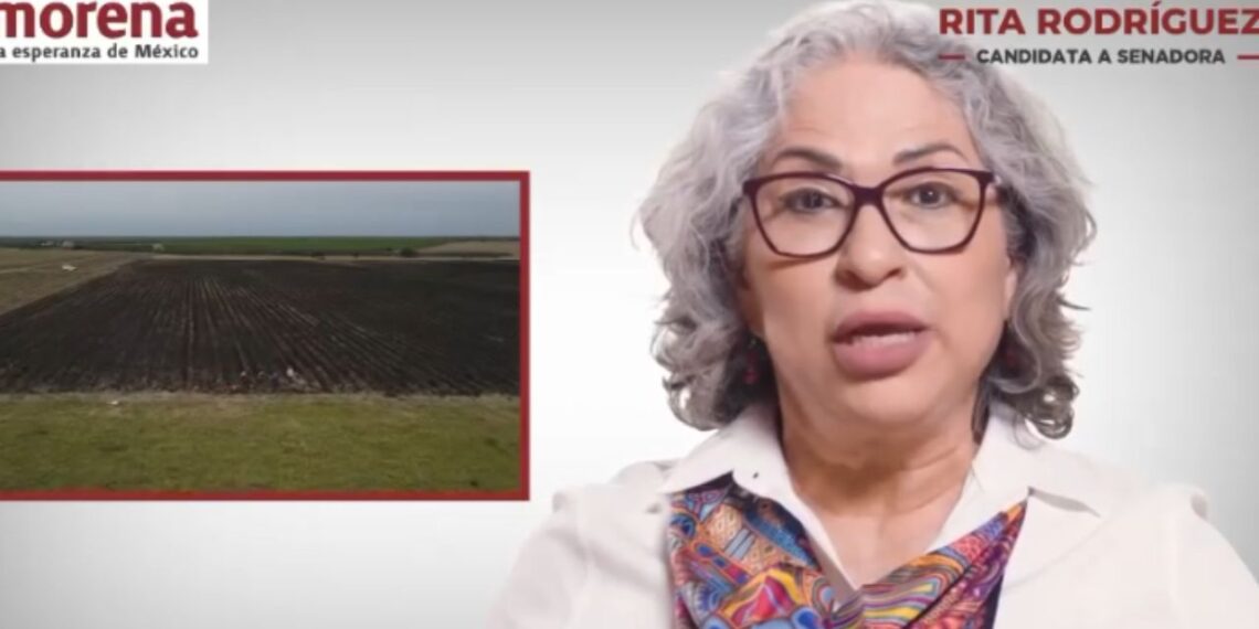 “Sin maíz no hay país”: Rita Rodríguez propone hacer de “Sembrando Vida” un derecho