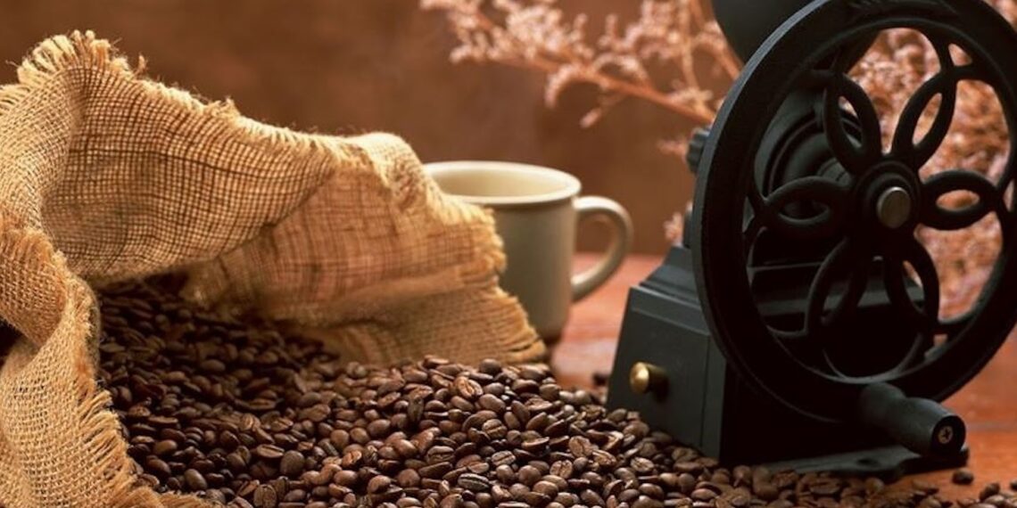 El Café & Chocolate Fest presentará su Edición 22 los días 17 y 18 de Agosto en el Palacio de la Autonomía de la Fundación UNAM