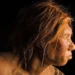 Descubren el primer caso de síndrome de Down en neandertales