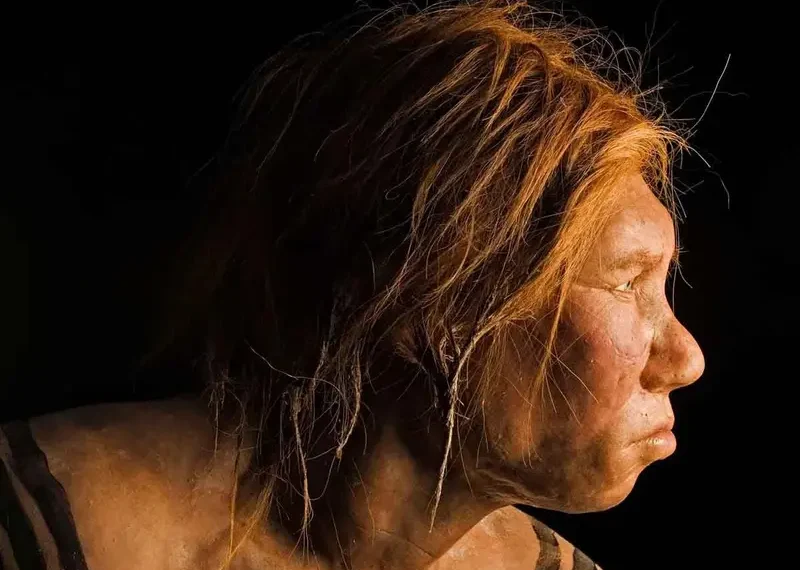 Descubren el primer caso de síndrome de Down en neandertales