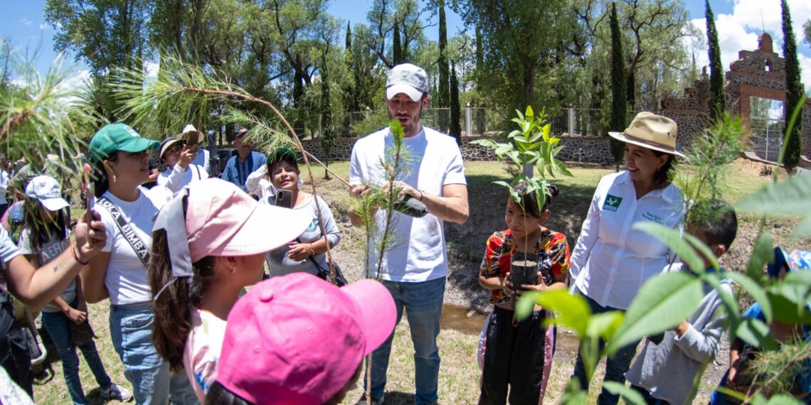 Arranca PVEM gira de agradecimiento y reforestación de más de 700 mil árboles, uno por cada voto obtenido