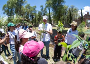 Arranca PVEM gira de agradecimiento y reforestación de más de 700 mil árboles, uno por cada voto obtenido