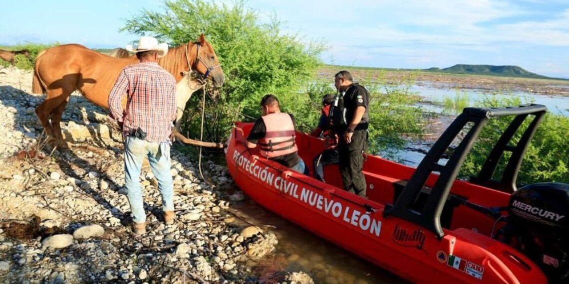 Rescatan a 30 caballos atrapados en isleta de la presa Cerro Prieto en NL