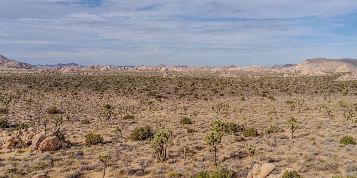 Localizan a tres migrantes que murieron deshidratados en el desierto de Sonora