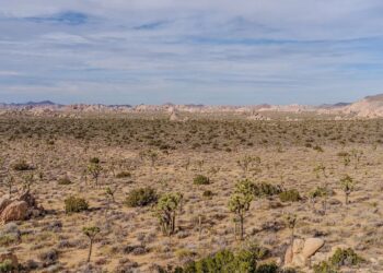 Localizan a tres migrantes que murieron deshidratados en el desierto de Sonora