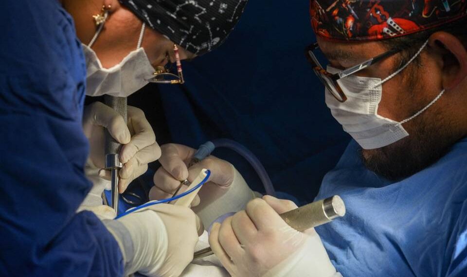 Casi 20 mil mexicanos requieren un trasplante; en el marco del Día Mundial del Paciente Trasplantado