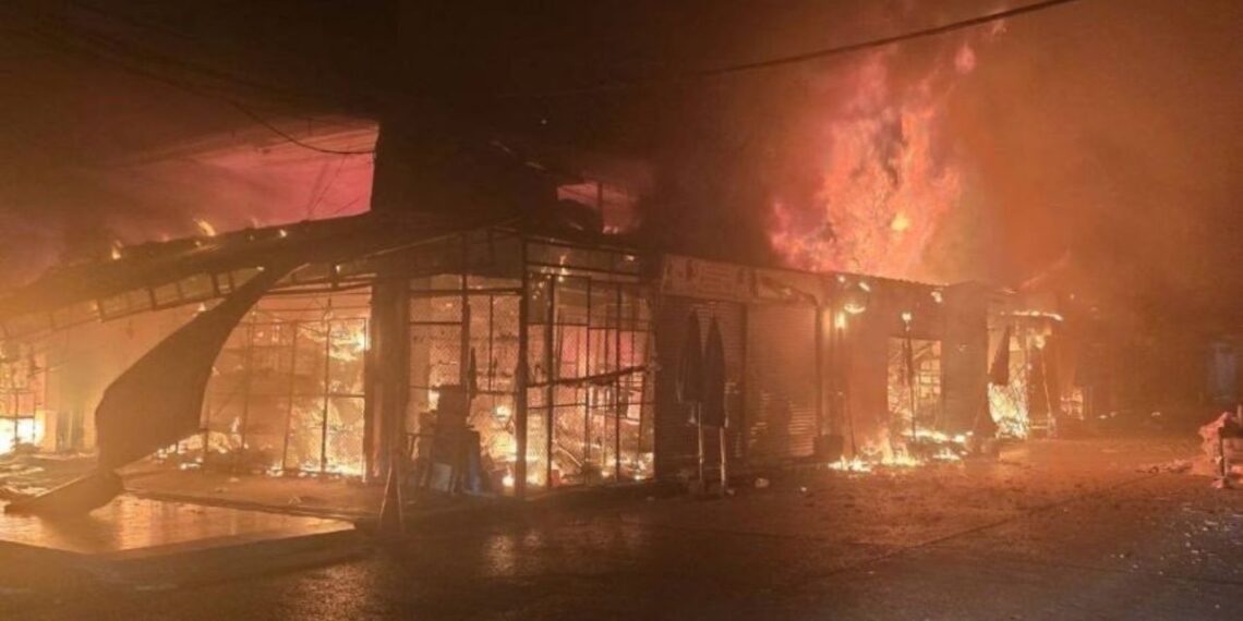 Incendio en mercado de mascotas en Bangkok deja cientos de animales muertos