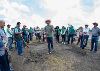 Paga el PVEM con la reforestación de un árbol por cada voto en el Edomex