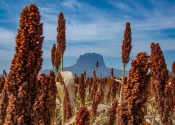 Por segunda ocasión se presenta en la CDMX la exposición fotográfica “Esto es Tamaulipas”