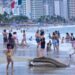 El 74% de hoteles ya operan en Acapulco tras paso de ‘Otis’; reactivación comercial va al 97.3%