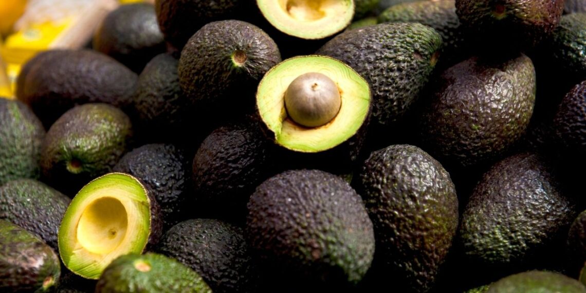 Ofrece AMLO proteger a inspectores de EUA para resolver bloqueo a aguacate y mango