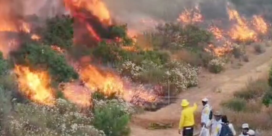 Incendio en Valle de Guadalupe afecta más de 800 hectáreas