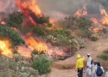 Incendio en Valle de Guadalupe afecta más de 800 hectáreas