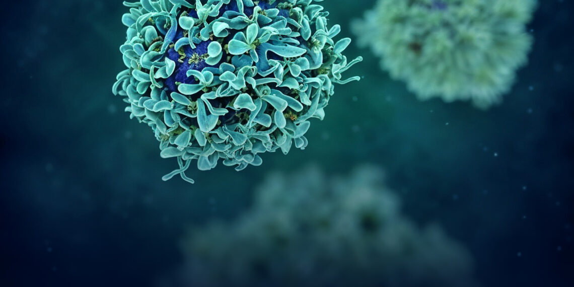 Avances para evitar rechazo de trasplantes: investigadores identifican células problemáticas para la aceptación de órganos