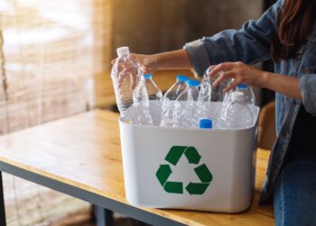 World Economic Forum reconoce a ECOCE como caso de éxito