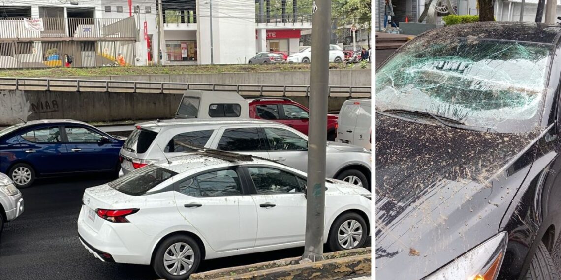 Tubo de metal cae del segundo piso del Periférico Sur; hay dos autos afectados