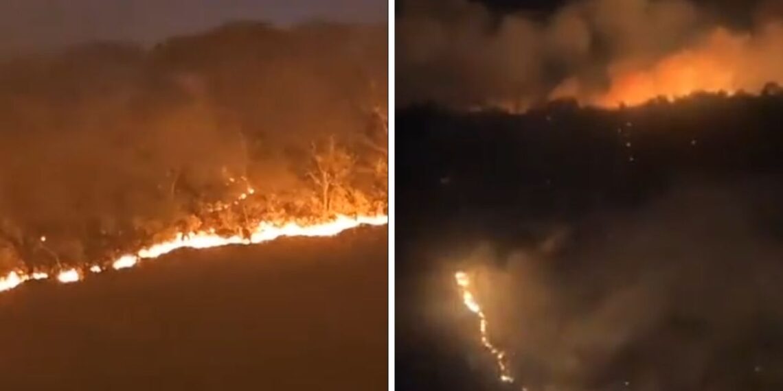Fuerte incendio en Subida a Chalma moviliza brigadas de rescate