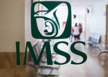 Incrementa IMSS más de 60 por ciento su recaudación y rebasa los 500 mil mdp