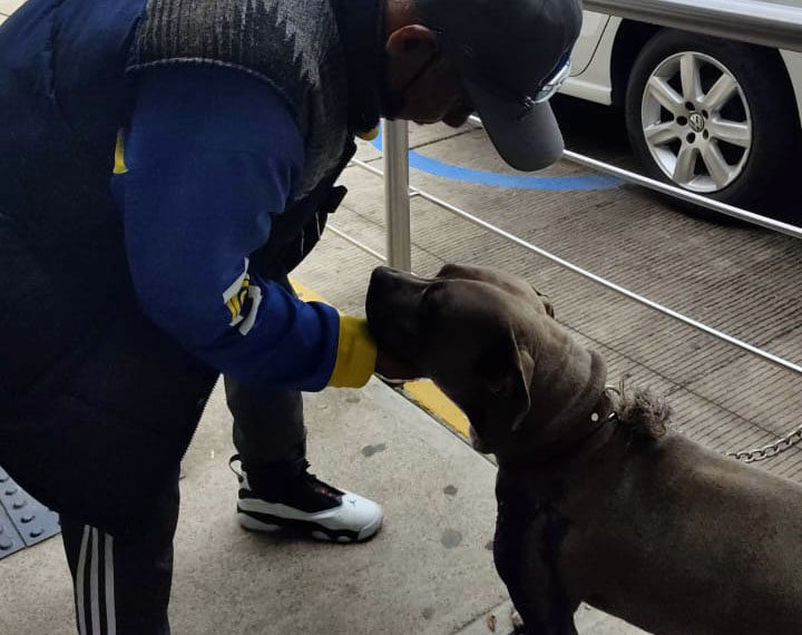 Lo atacó su padrastro con un puñal e hirió a su perro