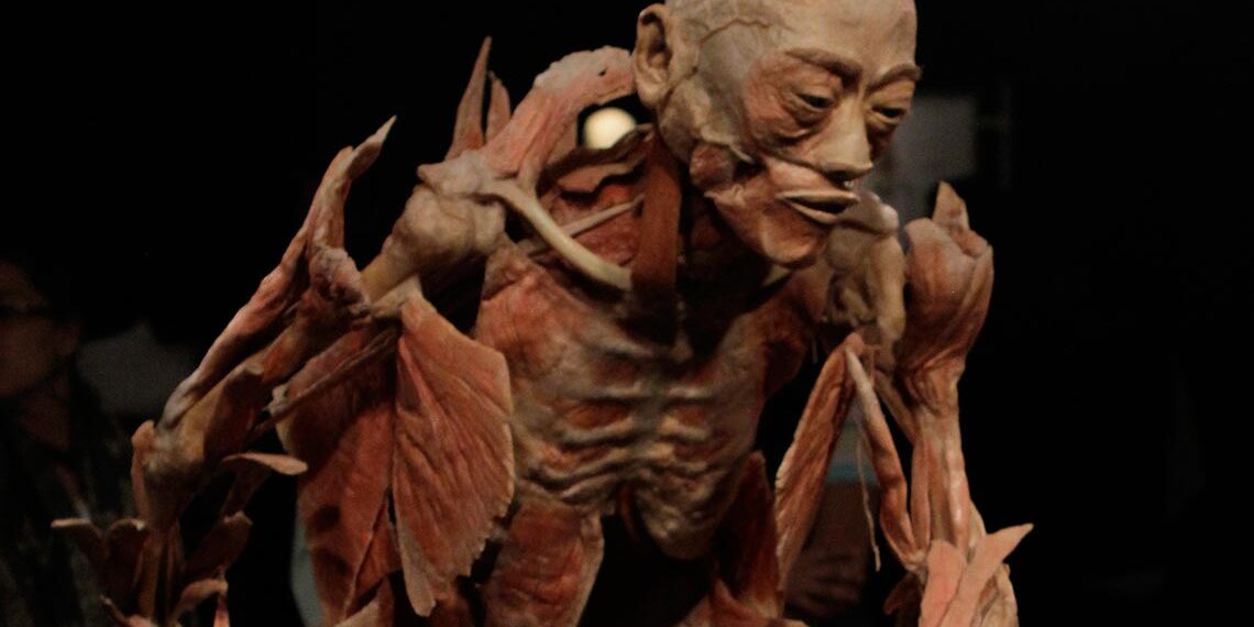 Últimos días de "OUR BODY, el universo dentro": cierra sus puertas el 11 de agosto en CDMX