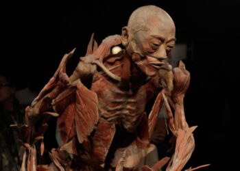 Últimos días de "OUR BODY, el universo dentro": cierra sus puertas el 11 de agosto en CDMX