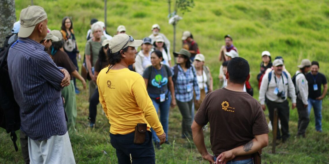 Implementa SENDAS sistemas de captación de agua de lluvia en región Xalapa-Coatepec