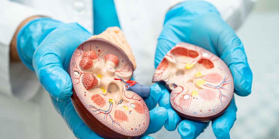 Deben vacunarse VS Hepatitis personas con ERC